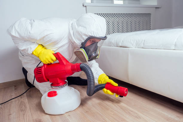 Reliable Pompton Plains, NJ Pest control Solutions